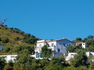 Gewerbe zum verkauf in Comares, Malaga