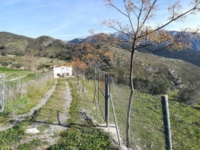 Cortijo/Finca à vendre en Alcaucin, Malaga