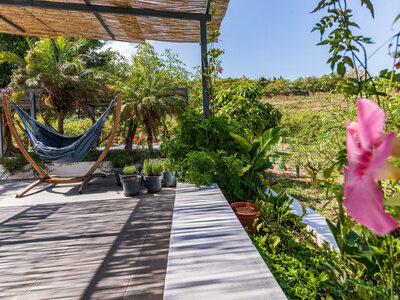 Cortijo/Finca zum verkauf in Velez-Malaga, Malaga