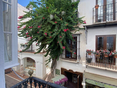 Apartment zum verkauf in Marbella, Malaga